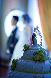 《Temtem》将最后更新并删除微交易功能